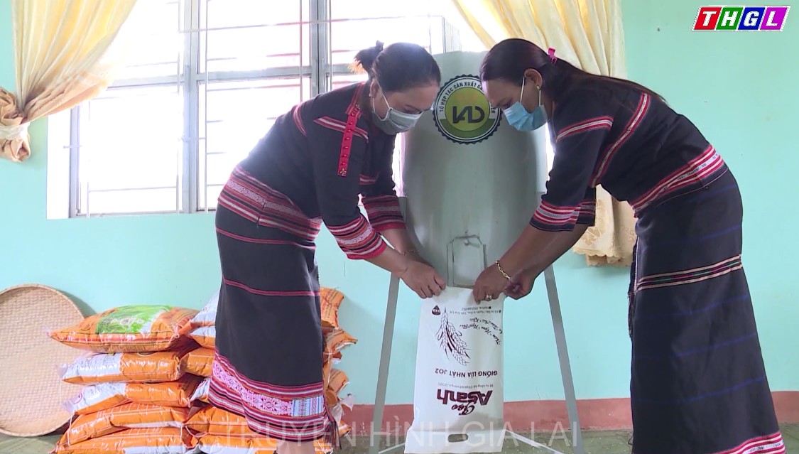 Tỉnh Gia Lai đặt ra nhiều mục tiêu trong “Chiến lược phát triển kinh tế tập thể, hợp tác xã giai đoạn 2021- 2030”