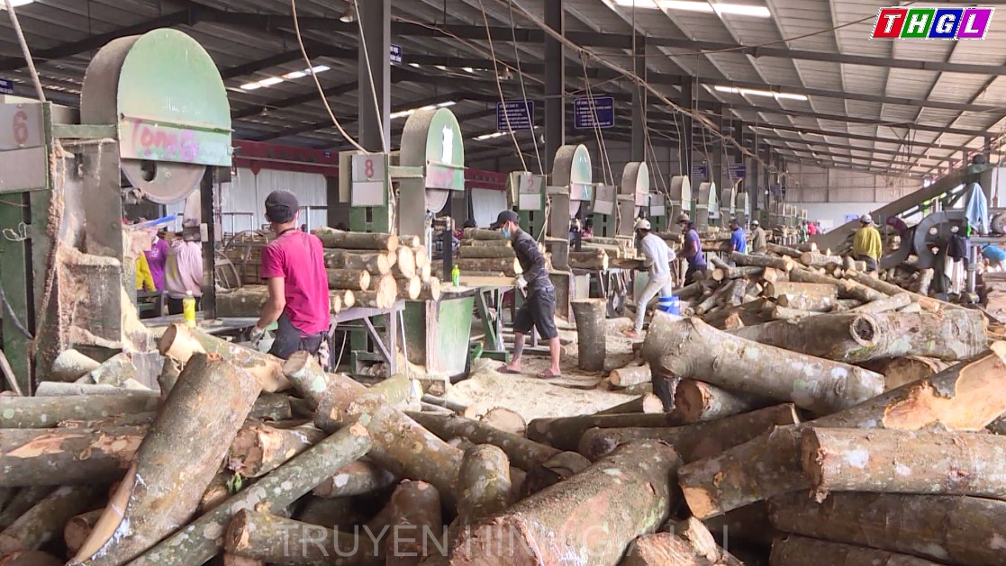 Giai đoạn 2021-2025 Gia Lai chú trọng phát triển công nghiệp chế biến