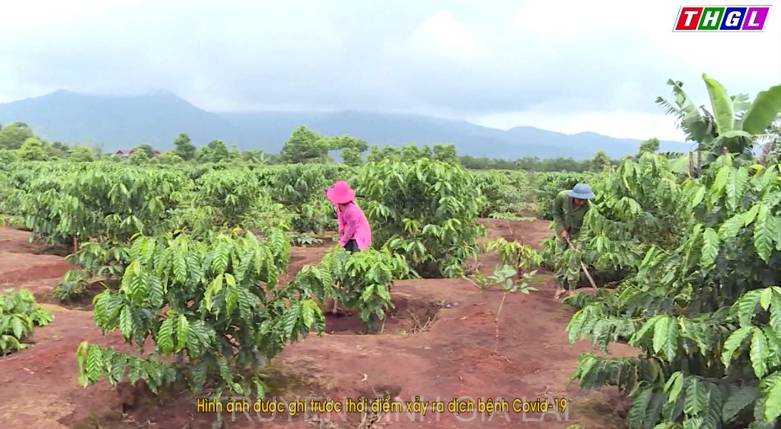 Chư Păh phấn đấu giảm tỷ lệ hộ nghèo