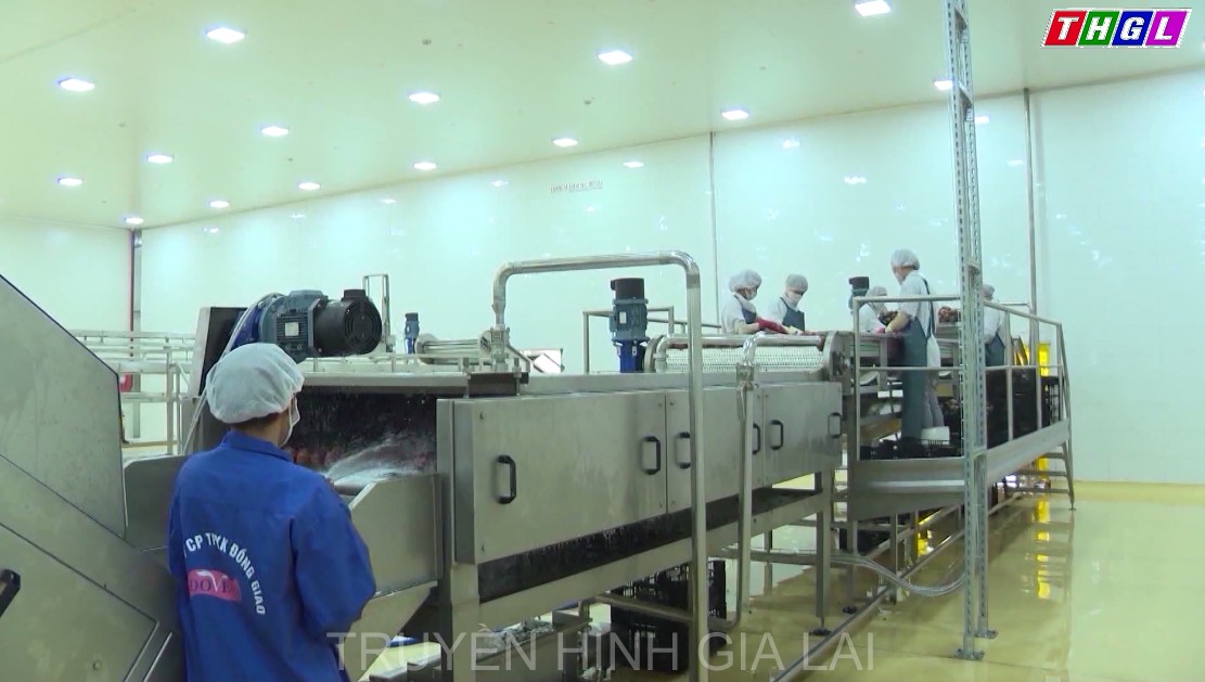 Dự kiến nhóm các nhà máy mới đi vào hoạt động trong năm 2021 sẽ đóng góp vào giá trị sản xuất ngành công nghiệp của tỉnh Gia Lai năm 2021 hơn 752 tỷ đồng