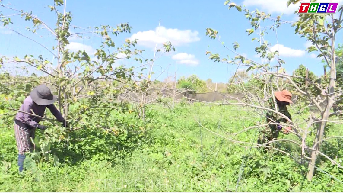 Nỗ lực vươn lên chiến thắng đói nghèo