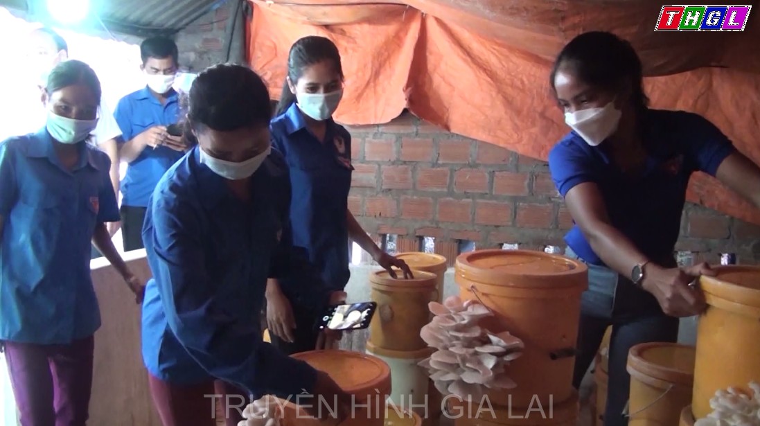 Thị xã Ayun Pa ra mắt mô hình trồng nấm tại Bôn rung Ma Nin xã Iar Bol