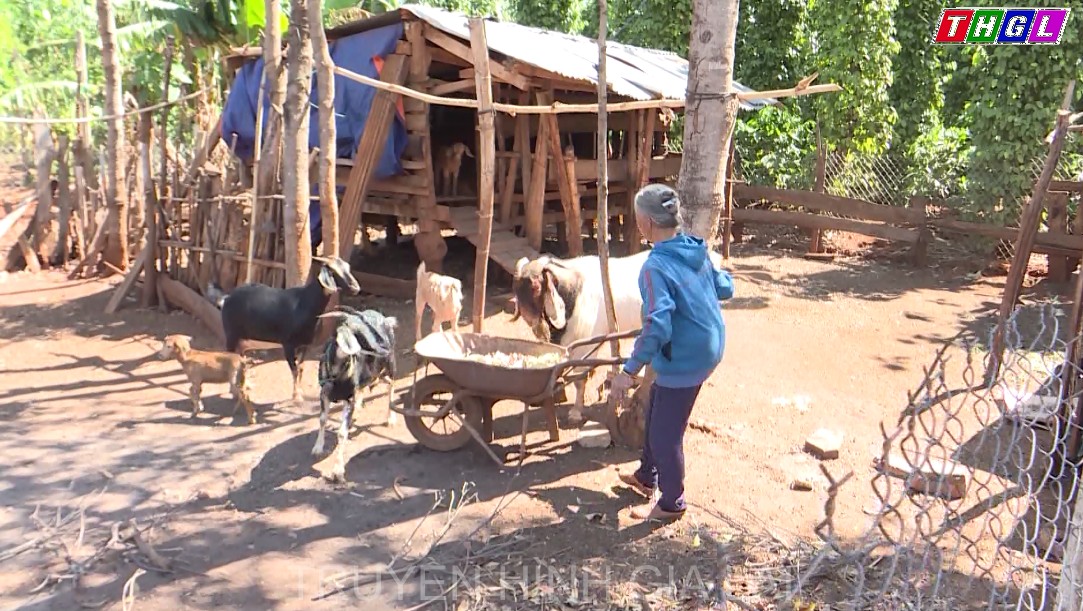 Công tác giảm nghèo ở Mang Yang còn nhiều khó khăn