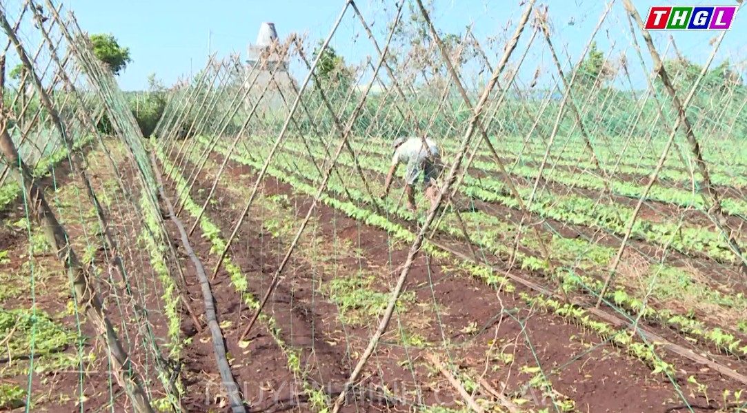 Nhân rộng các mô hình phát triển kinh tế trong đồng bào DTTS