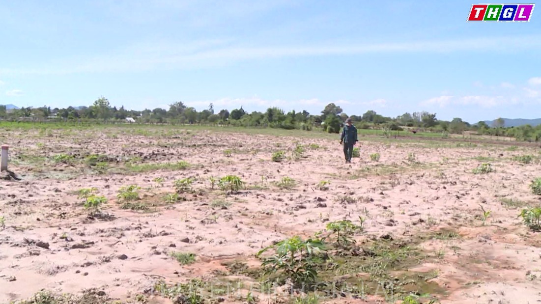 Huyện Krông Pa tập trung khắc phục hạn hán