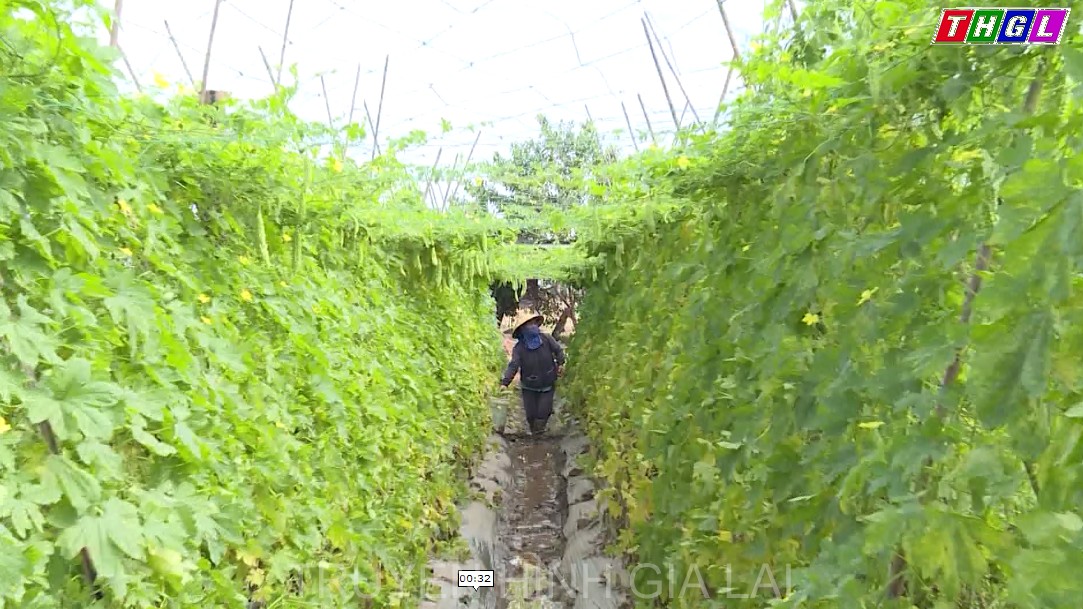 Huyện Phú Thiện triển khai nhiều mô hình trong Cuộc vận động “Làm thay đổi nếp nghĩ, cách làm trong đồng bào dân tộc thiểu số để từng bước vươn lên thoát nghèo bền vững”