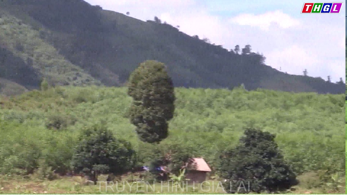 Chư Pưh đẩy mạnh giao khoán quản lý, bảo vệ rừng