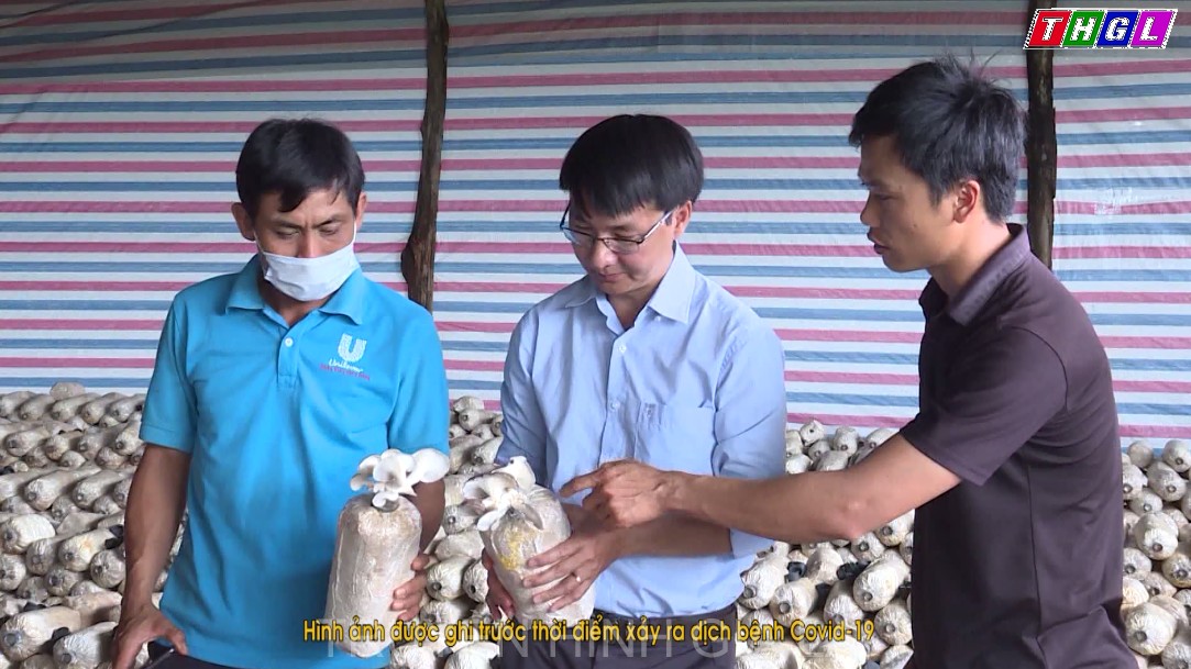 Sở Khoa học và Công nghệ Gia Lai hỗ trợ 102 tổ chức, cá nhân về đăng ký  bảo hộ quyền sở hữu công nghiệp