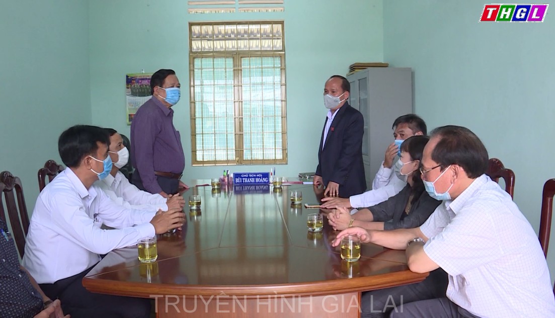 Thường trực Tỉnh ủy Gia Lai thăm, tặng quà Hội Nạn nhân chất độc da cam/dioxin  tỉnh