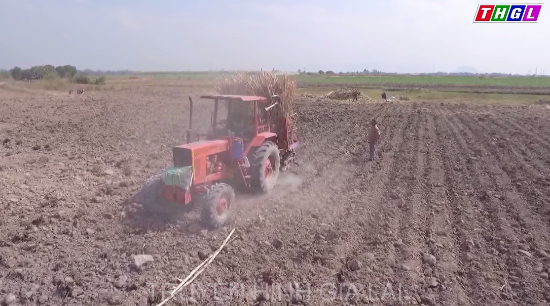 Toàn tỉnh hiện có 326 hợp tác xã đang hoạt động