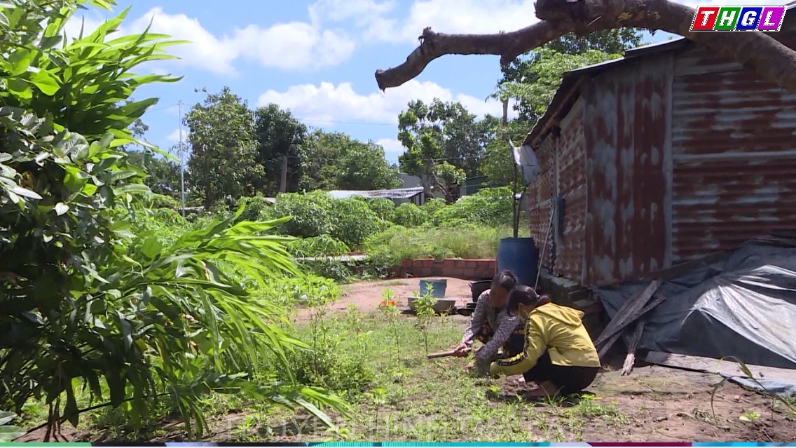 Ươm mầm cho tương lai