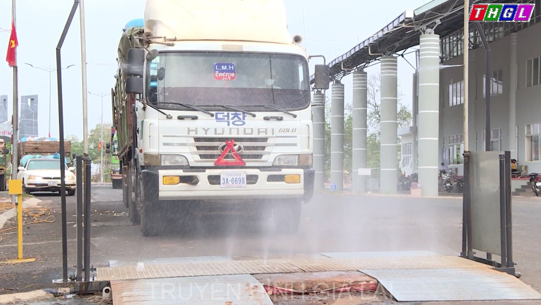 Kim ngạch nhập khẩu tại cửa khẩu Quốc tế Lệ Thanh tăng 2,5 lần