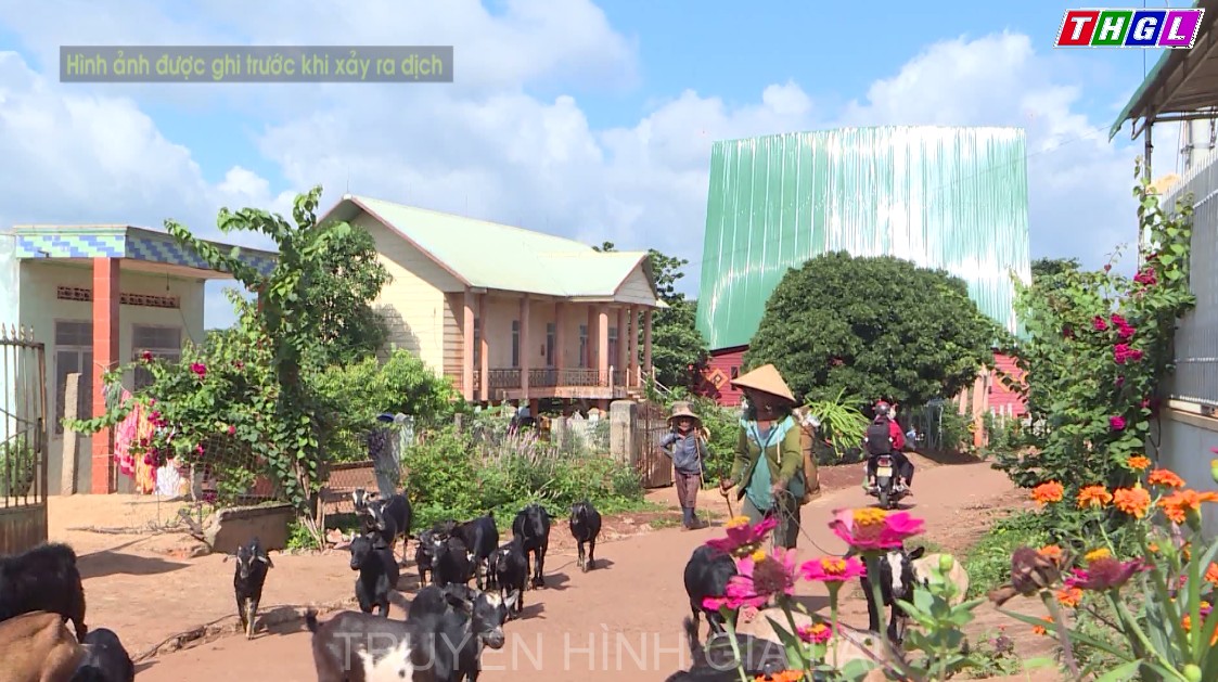 Gia Lai- Hiệu quả 10 năm thực hiện cuộc vận động “Làm thay đổi nếp nghĩ, cách làm trong ĐBDTTS để từng bước vươn lên thoát nghèo bền vững”