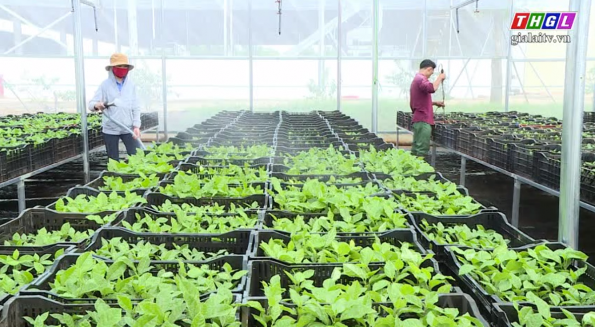 Tiếp tục tập trung vốn cho các lĩnh vực sản xuất kinh doanh và các lĩnh vực ưu tiên