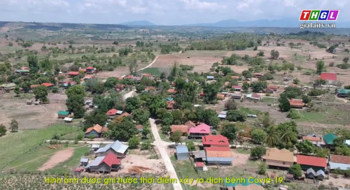 Đak Pơ mở rộng phát triển các giống cây ăn trái có chất lượng