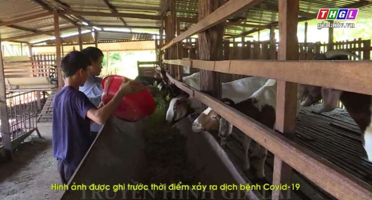 Hội Nông dân huyện Chư Prông đẩy mạnh Phong trào “Nông dân thi đua sản xuất, kinh doanh giỏi”