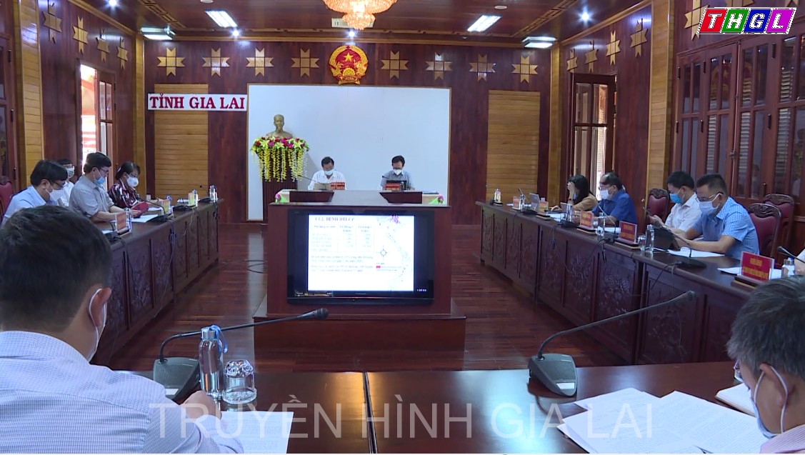 Hội nghị trực tuyến về phòng, chống dịch bệnh động vật