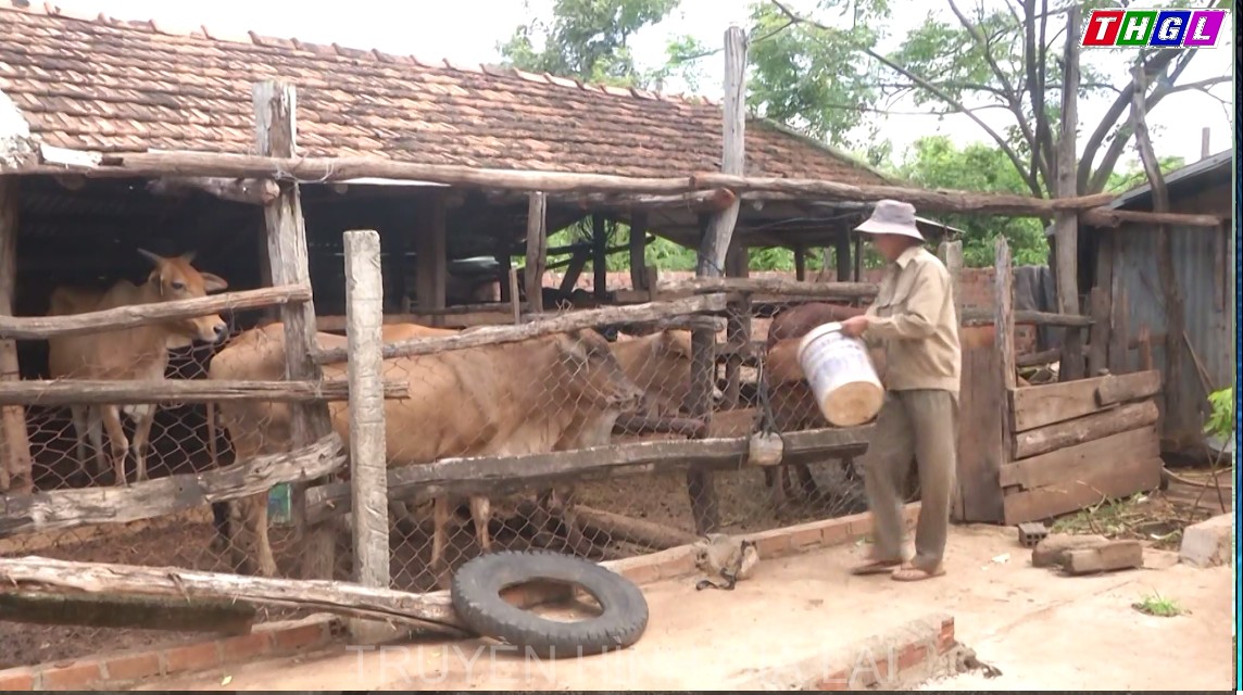 Ông Lê Văn Kỳ – Gia đình nạn nhân vượt khó vươn lên