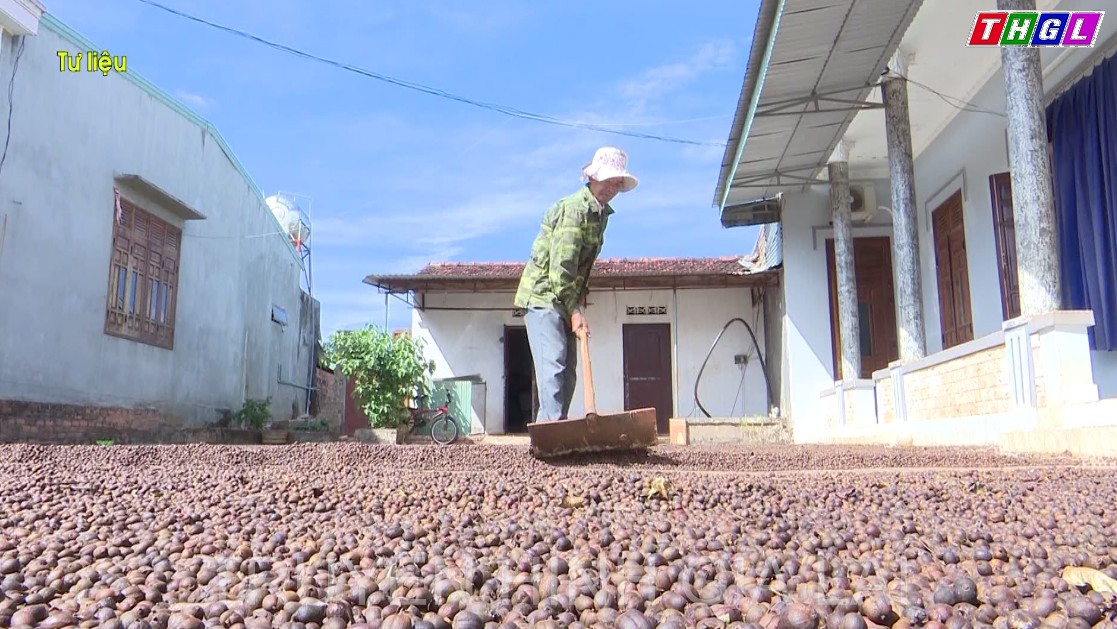 Câu lạc bộ “Cựu chiến binh sản xuất – kinh doanh giỏi” của thành phố Pleiku  phát huy hiệu quả hoạt động