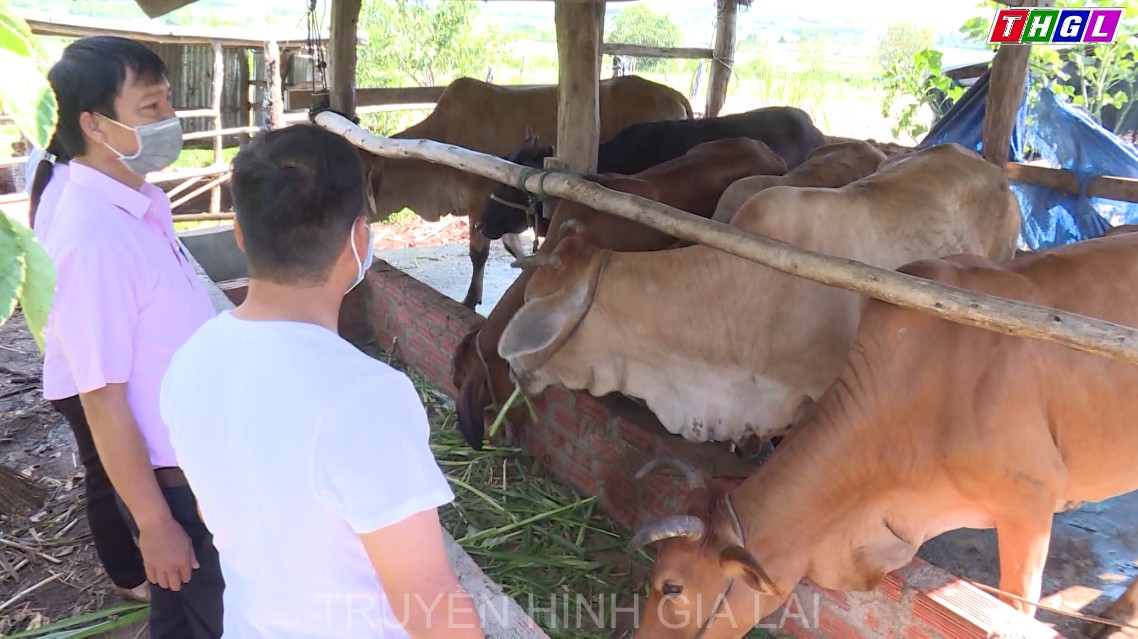 Ngân hàng Chính sách Xã hội huyện Đak Pơ tập triển khai các chương trình tín dụng chính sách tạo động lực góp phần phát triển kinh tế-xã hội