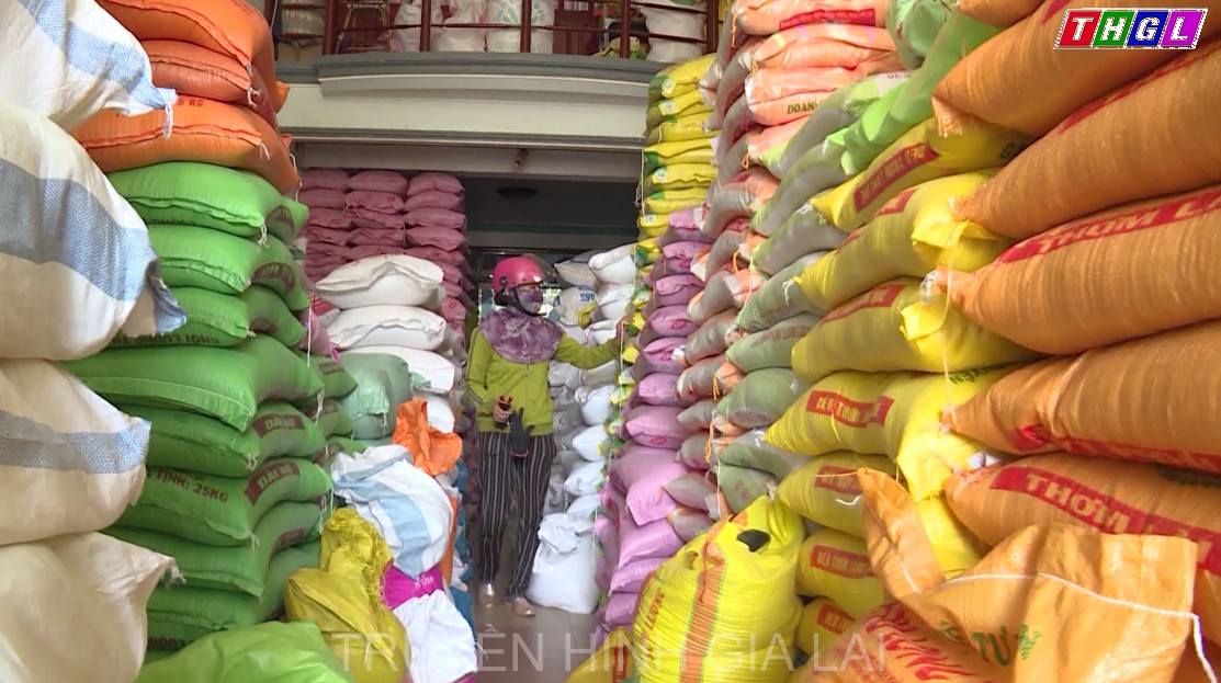 Gia Lai: Chỉ số giá tiêu dùng (CPI) tháng 8/2021 tăng 0,21% so với tháng 7