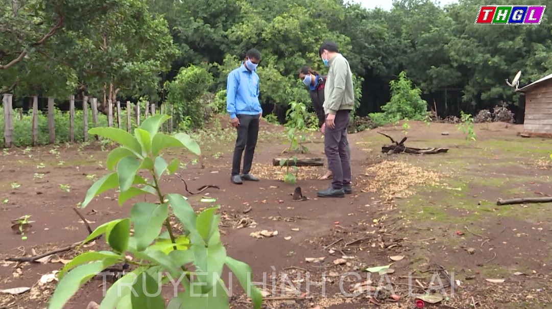 Hội Nông dân huyện Chư Prông hỗ trợ vật tư nông nghiệp để nông dân phát triển sản xuất