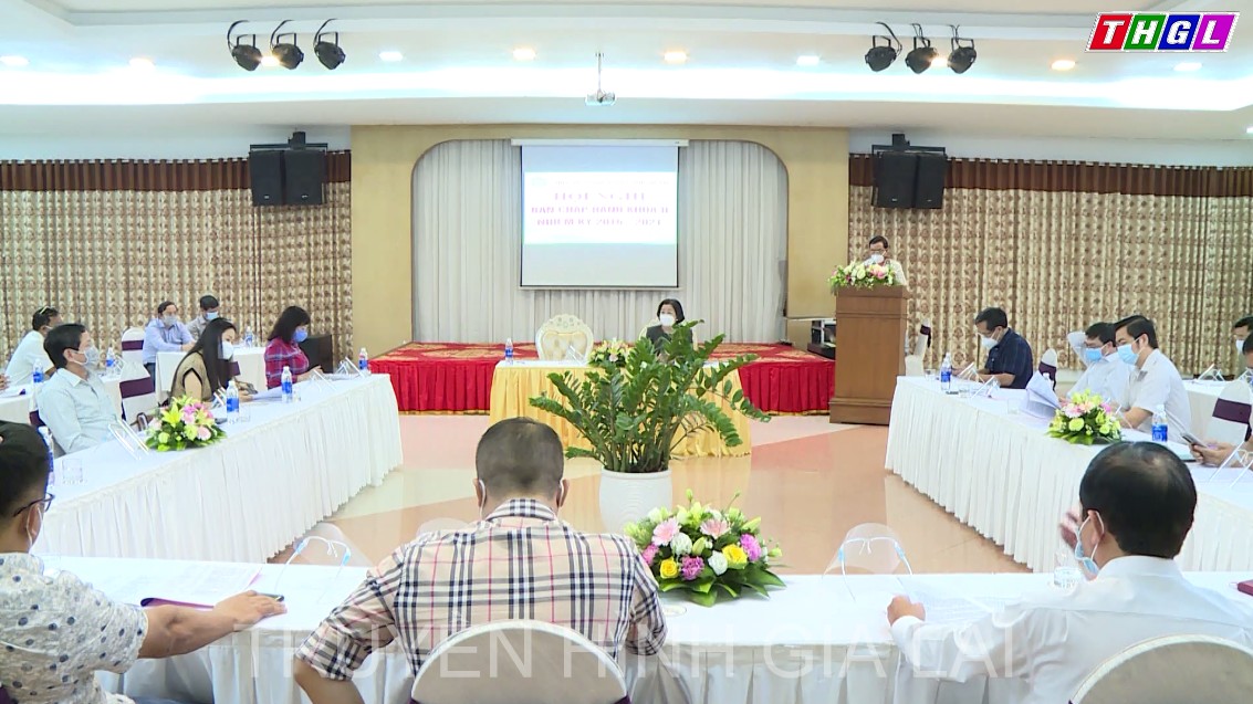 Hiệp hội Doanh nghiệp tỉnh Gia Lai Hội nghị Ban Chấp hành khóa II, nhiệm kỳ 2016-2021