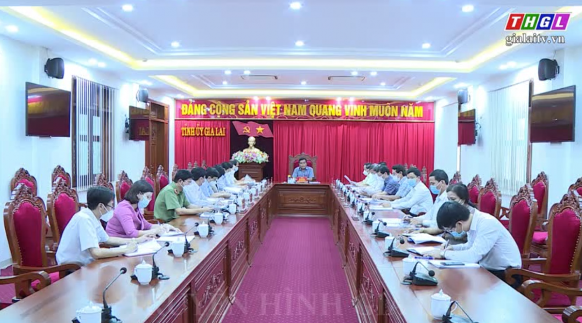 Thường trực Tỉnh ủy làm việc với Ban Chỉ đạo phòng, chống Covid-19 của tỉnh và Thường trực Thành ủy Pleiku