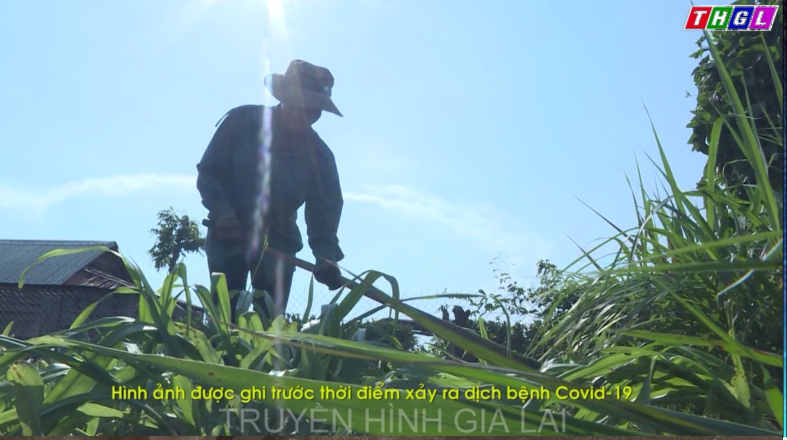 Ủy ban MMTQ Việt Nam tỉnh Gia Lai xây dựng hơn 400 mô hình hỗ trợ sinh kế giúp   người dân thoát nghèo