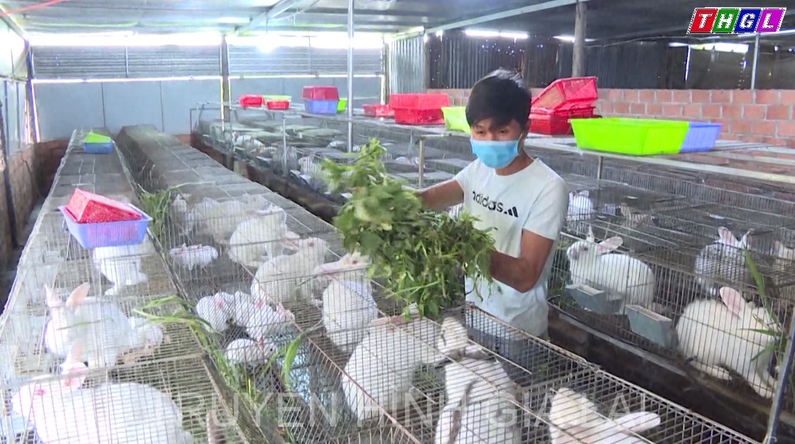 Gia Lai triển khai hiệu quả mô hình Nông hội