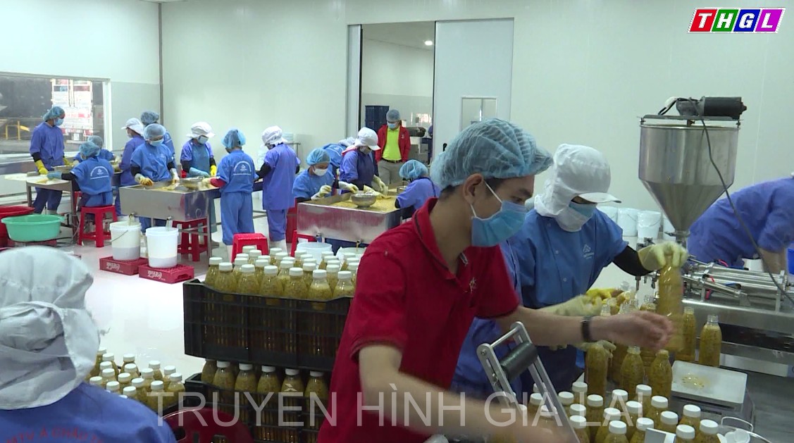 Gia Lai ưu tiên phát triển mạnh các sản phẩm chủ lực của gắn với chế biến sâu