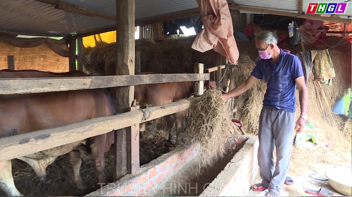 Hiệu quả từ Cuộc vận động “Làm thay đổi nếp nghĩ cách làm trong đồng bào dân tộc thiểu số để từng bước vươn lên thoát nghèo bền vững” ở huyện Chư  Păh