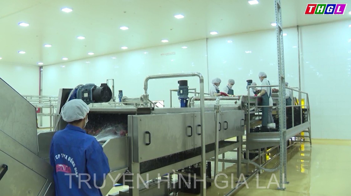 Doanh nghiệp đang tăng tốc sản xuất kinh doanh để về đích cuối năm