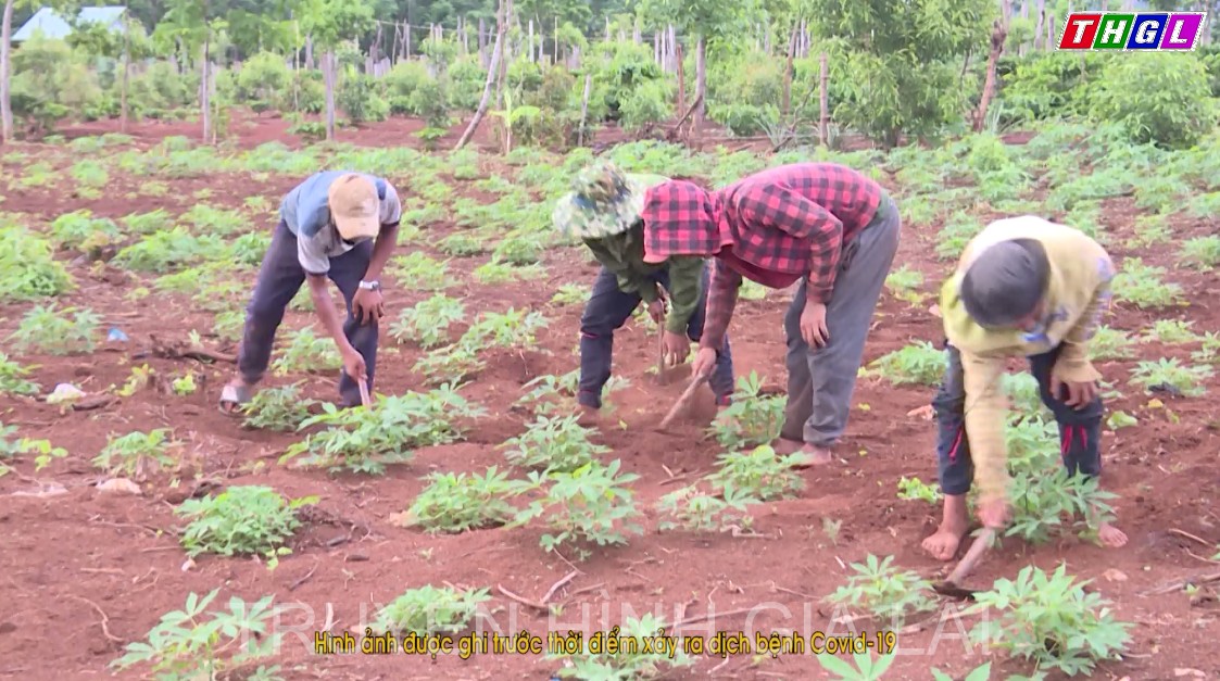 Tỉnh Gia Lai quan tâm giải quyết vấn đề thiếu đất ở, đất sản xuất và chuyển đổi ngành, nghề cho người dân vùng DTTS