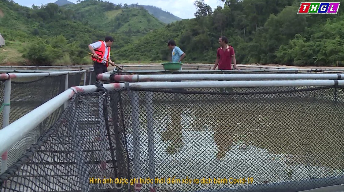 Gia Lai có nhiều tiềm năng phát triển nghề nuôi cá lồng