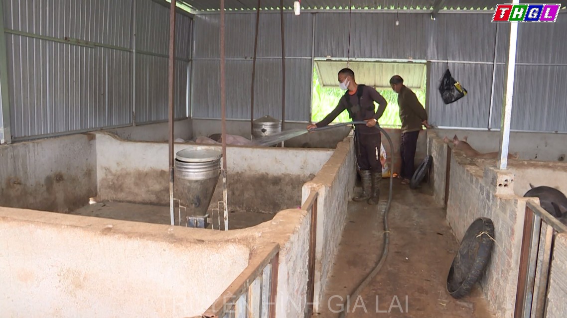 Y Sốp làm kinh tế giỏi