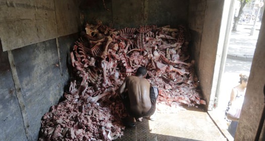 “Brazil 2021: Nỗi đau đói nghèo” – Cuộc khủng hoảng lương thực qua những bức ảnh