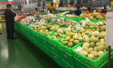 Làm thế nào để phát huy được thế mạnh của các hợp tác xã nông nghiệp?