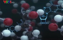 Tiềm năng ứng dụng của giải Nobel Hóa học 2021