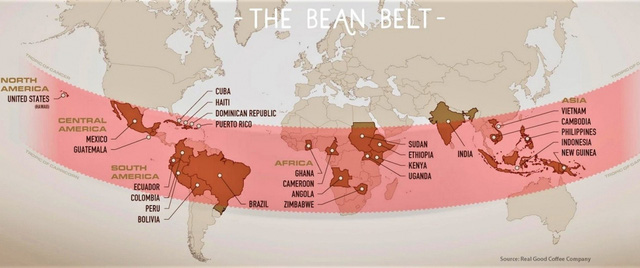 Việt Nam – Nhà sản xuất cà phê lớn thứ hai của thế giới