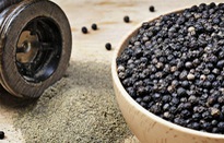 Giá tiêu tăng mạnh – Cơ hội tái cơ cấu ngành?