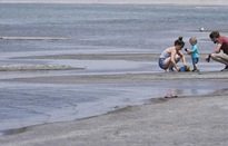 Nhiệt độ đại dương cao kỷ lục trong năm thứ sáu liên tiếp