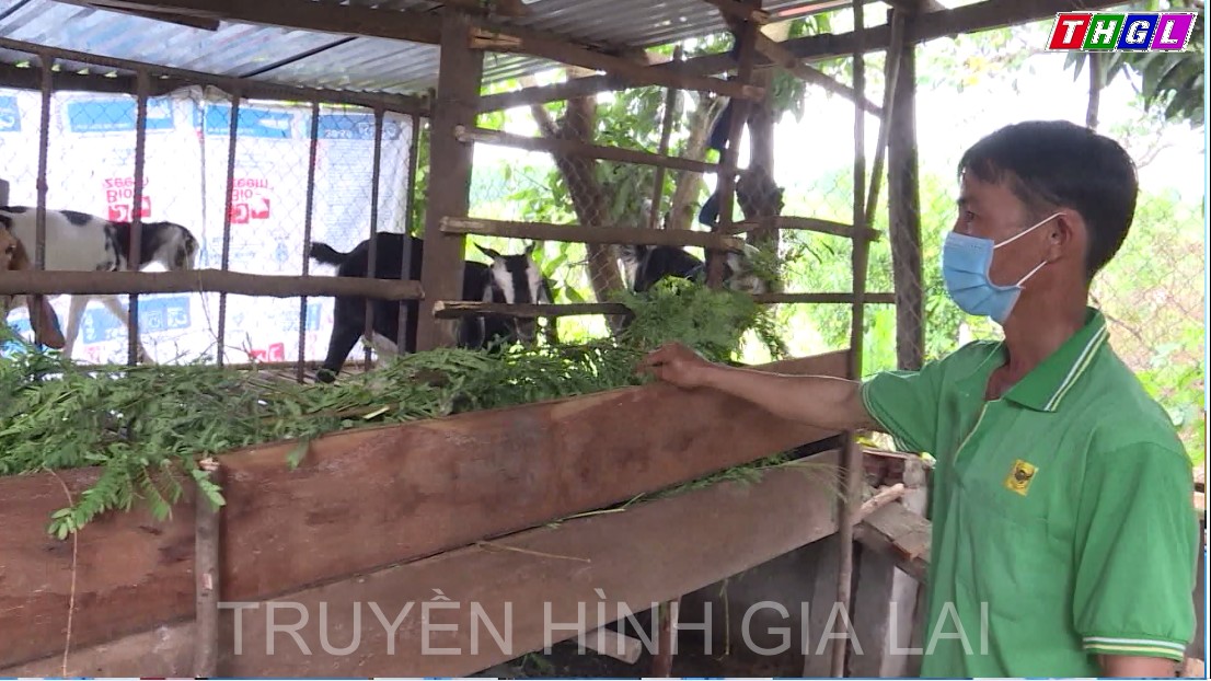 Chuyển đổi mô hình phát triển kinh tế ở vùng biên giới Ia Puch