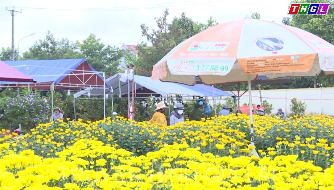 Chợ hoa Tết – Lượng hàng giảm, sức mua chậm