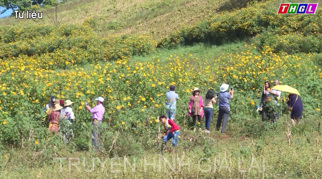 Gia Lai đẩy mạnh quá trình chuyển đổi số trong ngành du lịch