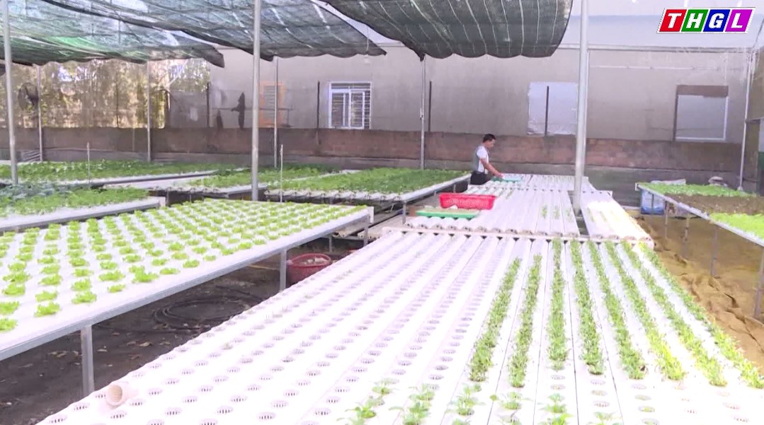 Phú Hòa khởi sắc