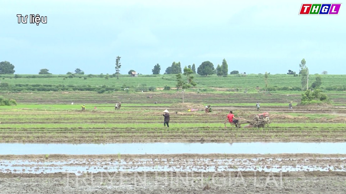 Đảm bảo hoàn thành chỉ tiêu giảm nghèo năm 2022