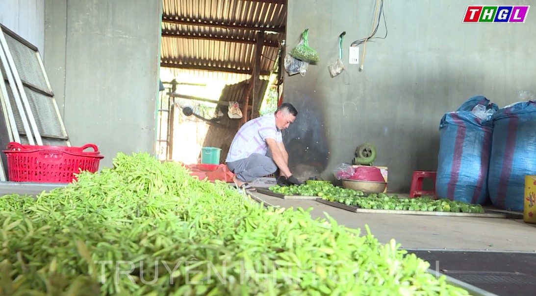 Lê Sỹ Diện: Người xây dựng thương hiệu cho sản phẩm đặc trưng của người Bahnar