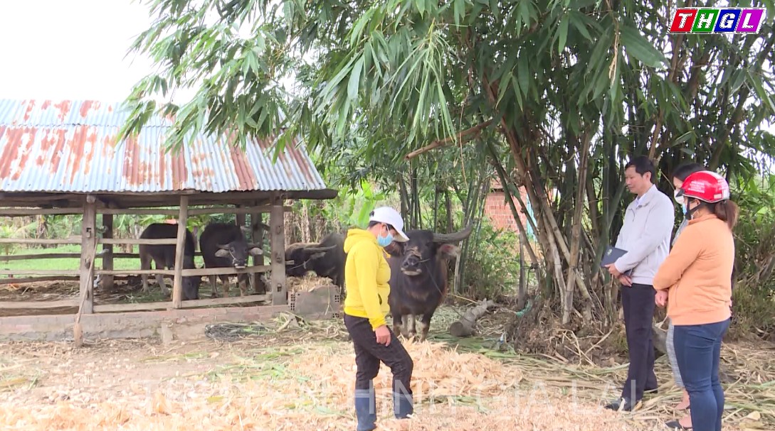 Thoát nghèo nhờ chính sách tín dụng ưu đãi