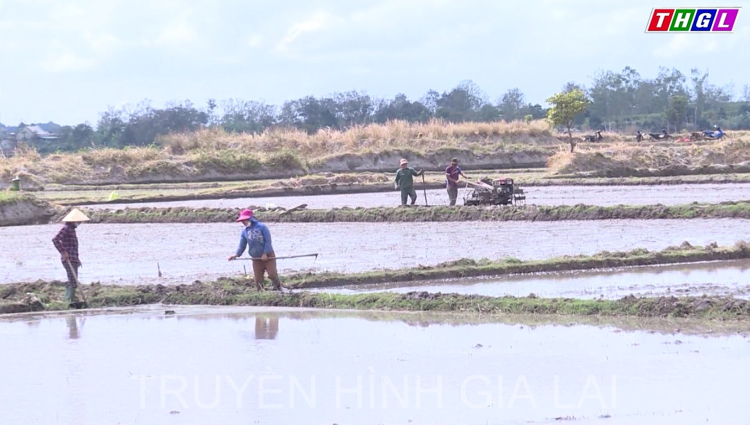 Tập trung triển khai sản xuất vụ Đông Xuân 2021-2022